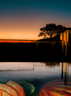 CUSTOM TILE POOL + WATER WALL